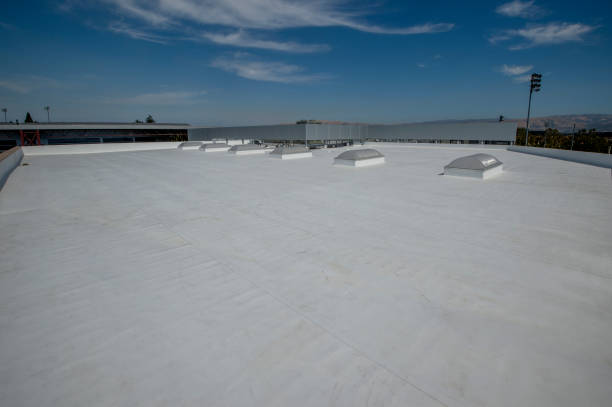 Best Skylight Installation and Repair  in Mount Oliver, PA