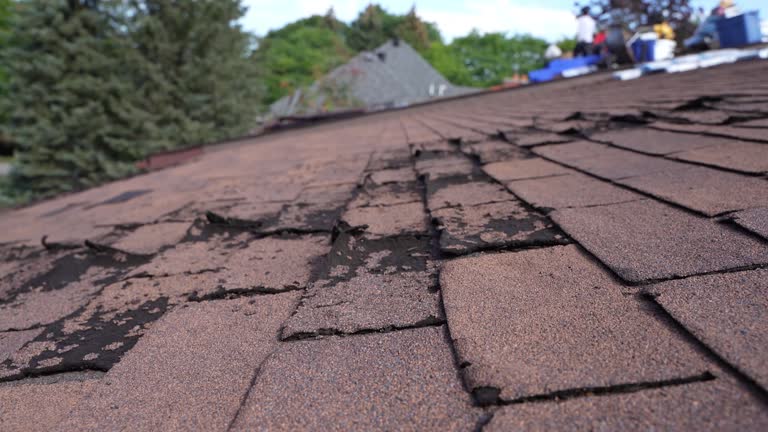 Best Cold Roofs  in Mount Oliver, PA
