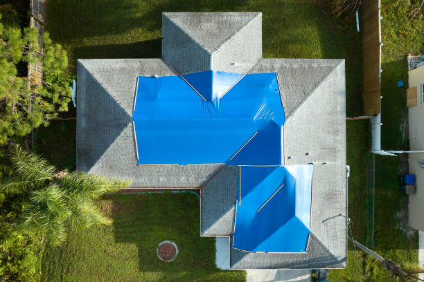 Best Roof Maintenance and Cleaning  in Mount Oliver, PA
