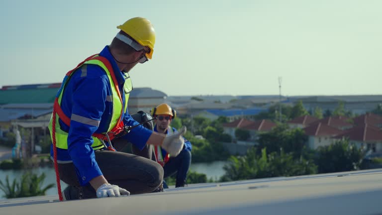 Best Roof Maintenance and Cleaning  in Mount Oliver, PA