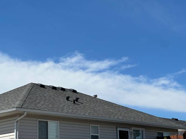 Best Solar Panel Roofing Installation  in Mount Oliver, PA